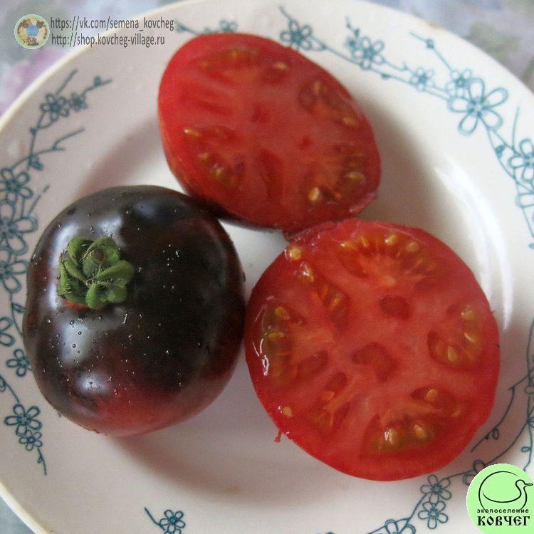 г6. ПОЛОСАТЫЙ АНТО (16)-_1_1 2025г. Семена томата Гном Полосатый анто