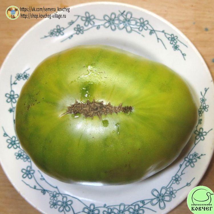 20. Зеленый Абрахам (6)_1_1 2023г. Семена томата Зелёный Абрахам