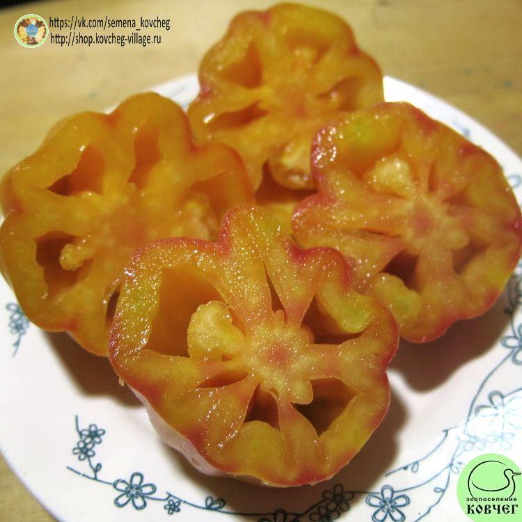 22. КАЛИФОРНИЙСКИЙ ТЮЛЬПАН (12)_1_1 2023г. Семена томата Калифорнийский тюльпан