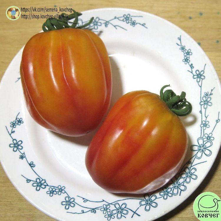 22. КАЛИФОРНИЙСКИЙ ТЮЛЬПАН (8)_1_1 2023г. Семена томата Калифорнийский тюльпан