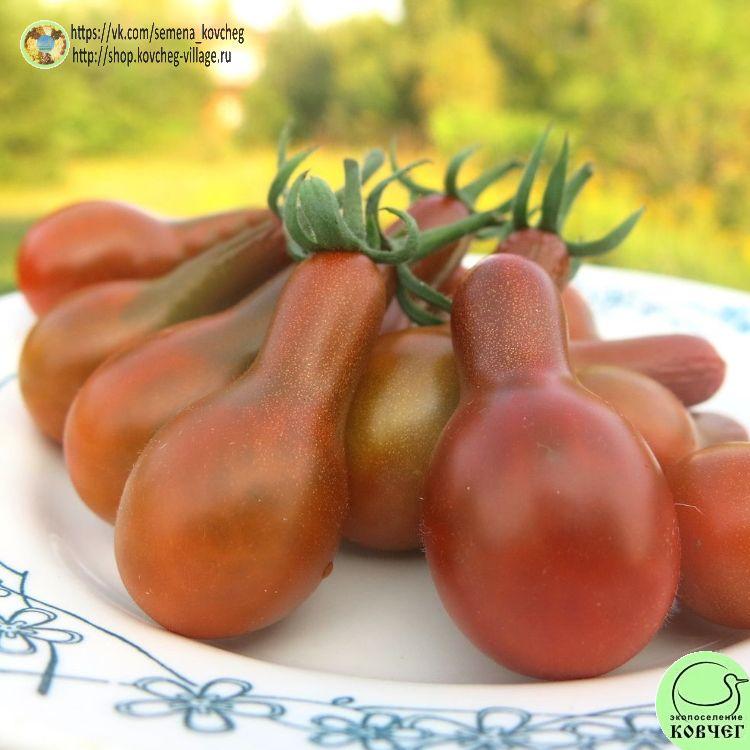 25. КАФЕ БУЛЕ (10)_1_1 2023г. Семена томата Кафе Буле