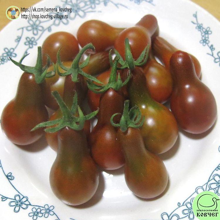 25. КАФЕ БУЛЕ (3)_1_1 2023г. Семена томата Кафе Буле