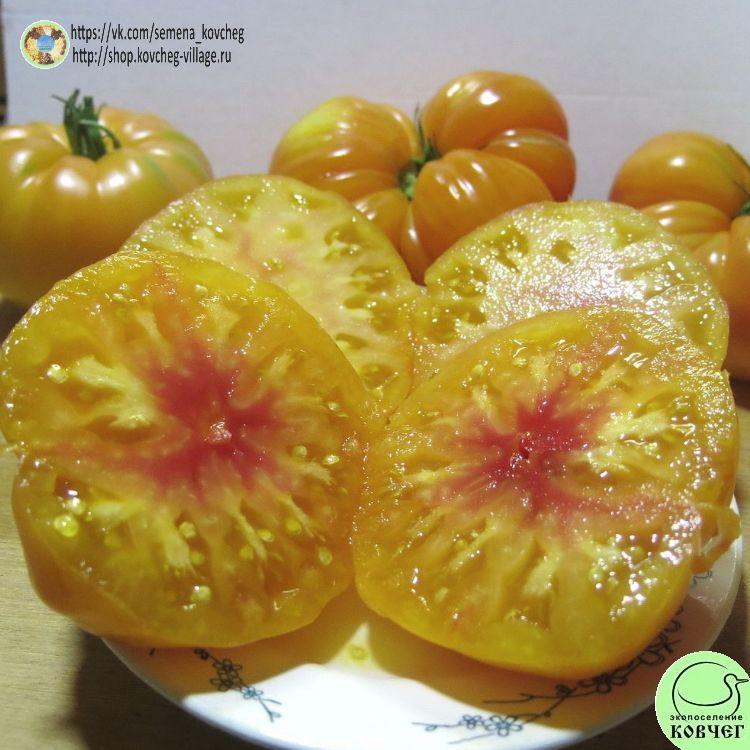 29. ЛАКИ КРОСС (36)_1_1 2023г. Семена томата Лаки кросс