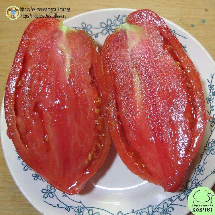 5. БЫЧКИ МИНУСИНСКИЕ (14)_1_1 2023г. Семена томата Бычки минусинские