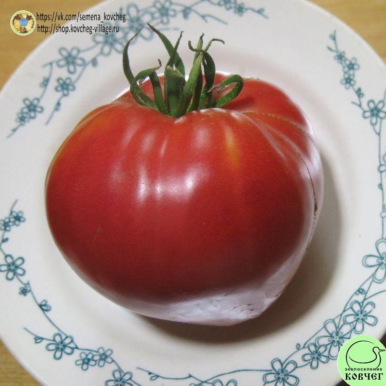 55. Сибирский деревенский (7)_1_1 2023г. Семена томата Сибирский деревенский