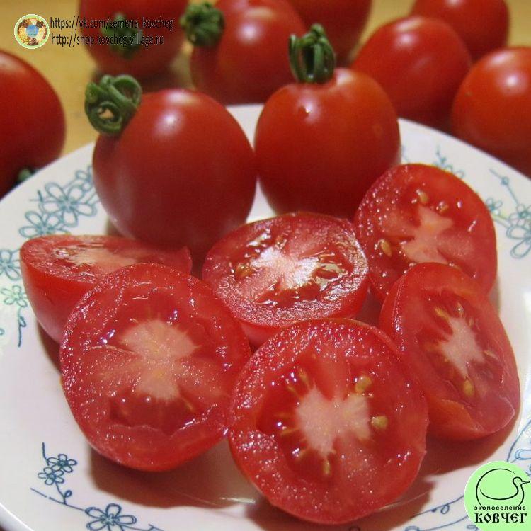 59. Турьевские консервные (10)_1_1 2024г. Семена томата Турьевские консервные