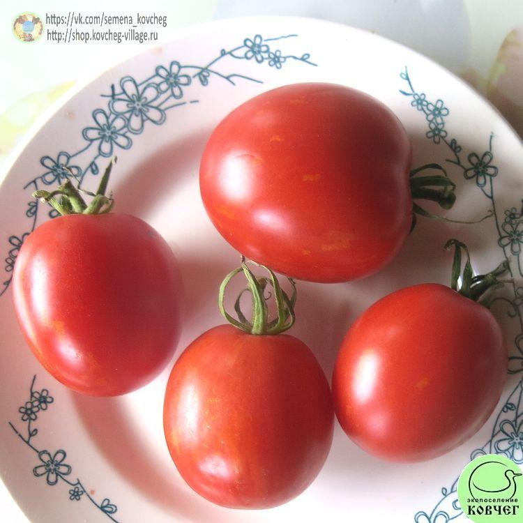 10. ДЕ БАРАО ПОЛОСАТЫЙ (15)_1 2024г. Семена томата Де барао полосатый