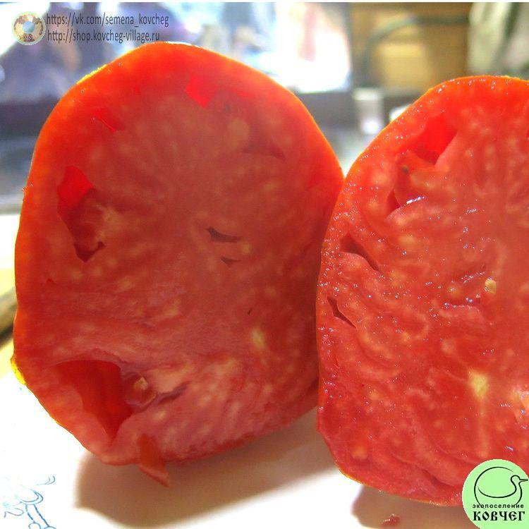 11. Древнее сердце из Акви-Терме (16)_1 2024г. Семена томата Древнее сердце из Акви-Терме