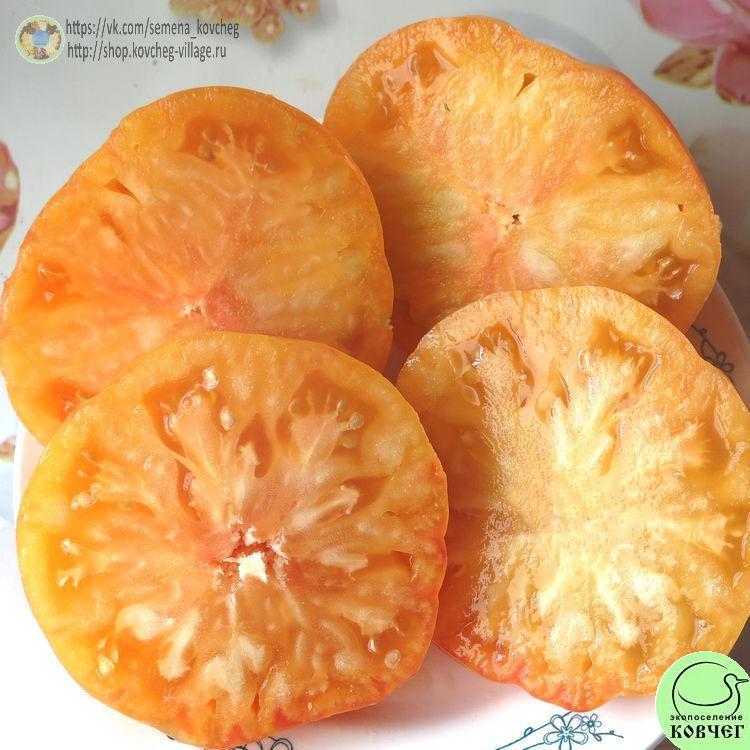 17. ИНДЕЙСКАЯ РЕЗЕРВАЦИЯ (13)_1 2024г. Семена томата Индейская резервация