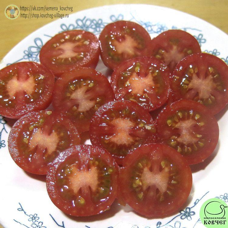 23. Маленький поцелуй Герани (12)_1 2024г. Семена томата Маленький поцелуй Герани