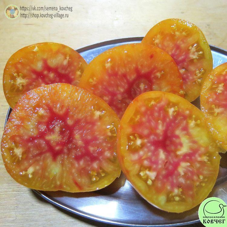 30. Немецкий полосатый (5)_1 2024г. Семена томата Немецкий полосатый