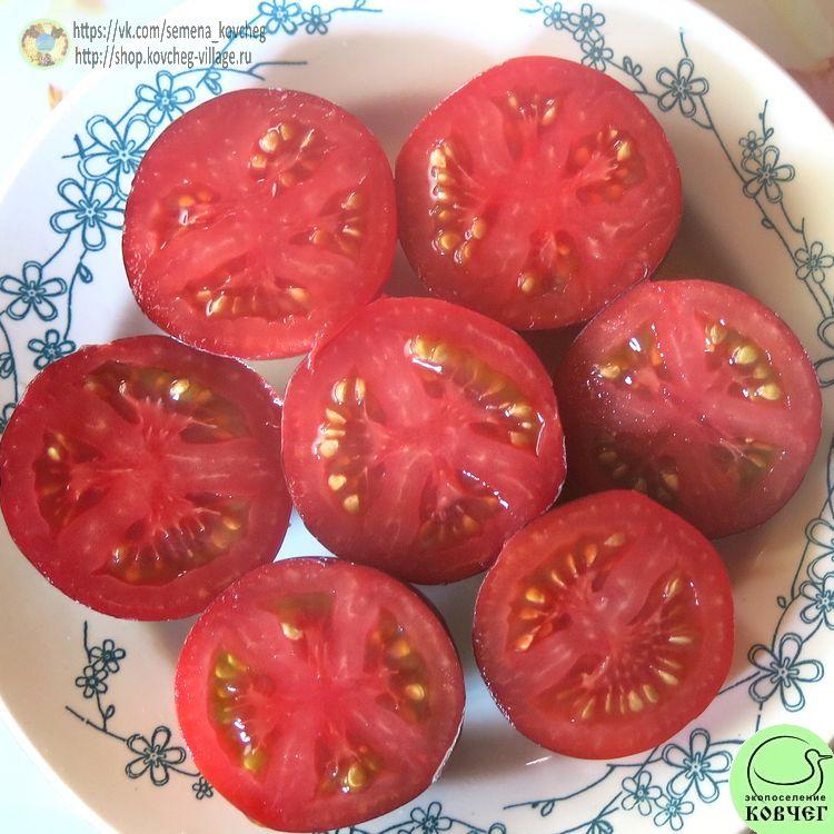 34. Огненно-синий (7)_1 2024г. Семена томата Огненно-синий