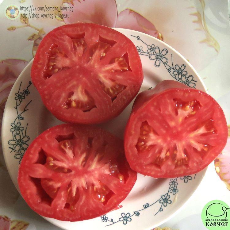 38. Ребелпик (14)_1 2024г. Семена томата Ребелпик