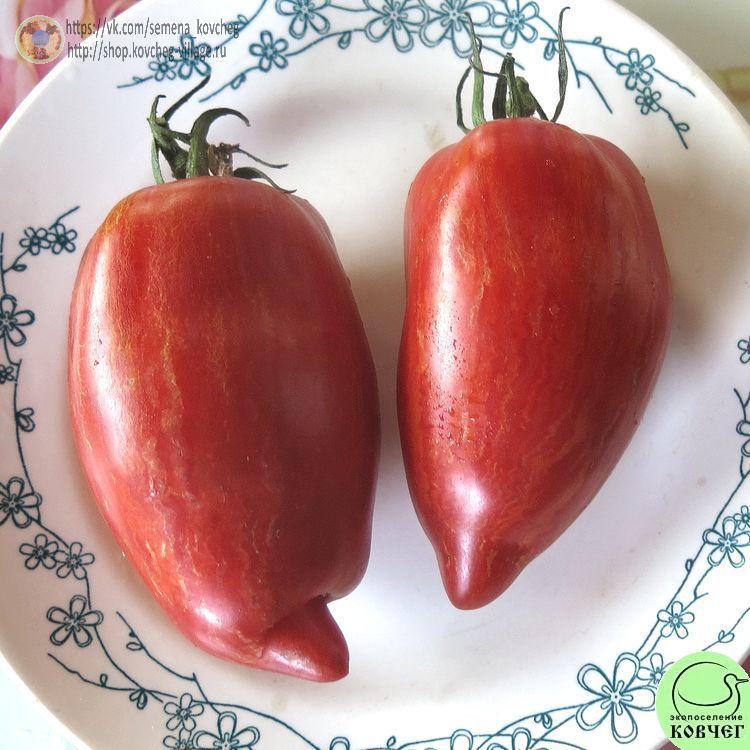 39. РИМСКИЙ ПОЛОСАТЫЙ (10)_1 2024г. Семена томата Римский полосатый