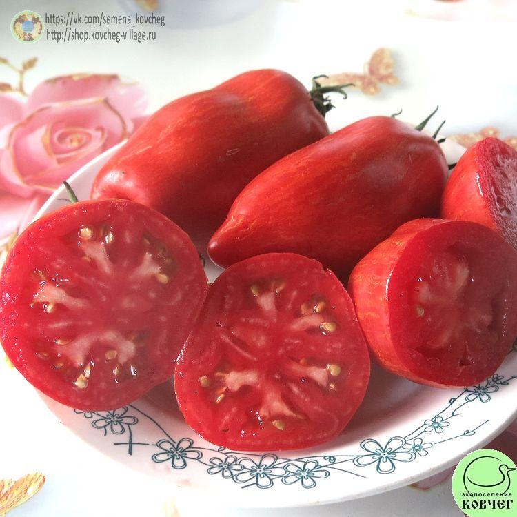 39. РИМСКИЙ ПОЛОСАТЫЙ (13)_1 2024г. Семена томата Римский полосатый