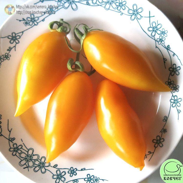 46. Сокровище (3)_1 2024г. Семена томата Сокровище