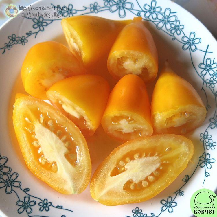 46. Сокровище (8)_1 2024г. Семена томата Сокровище