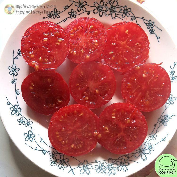 50. Фламенко (10)_1 2024г. Семена томата Фламенко