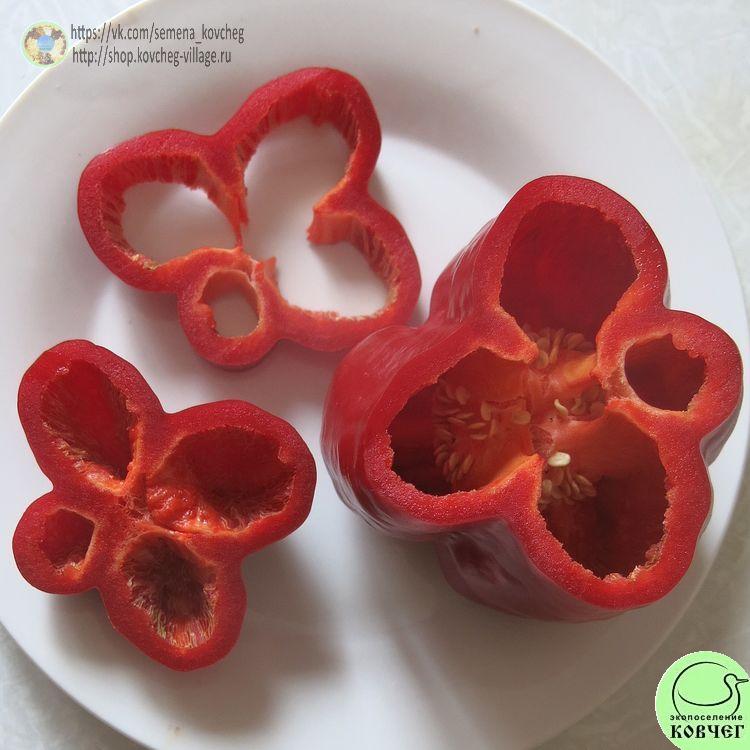 П1. Асти красный (14)_1 2024г. Семена перца сладкого Асти красный