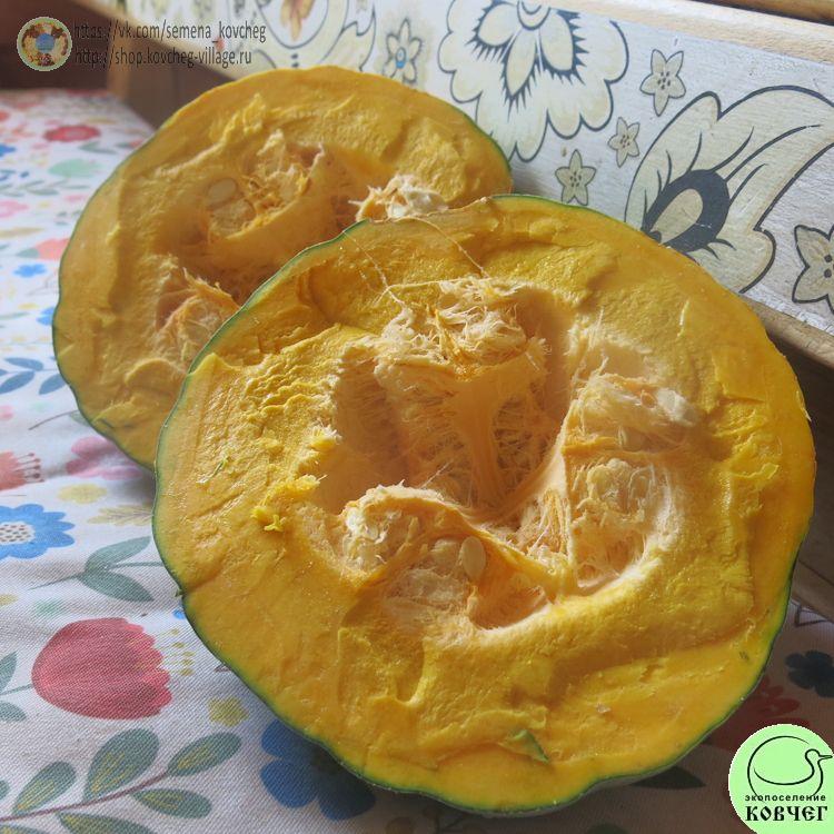 Т30. Серебряный колокольчик (6)_1 2024г. Семена тыквы Серебряный колокольчик