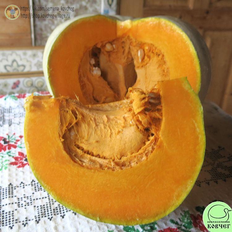 т5. Белый бор (4)_1 2024г. Семена тыквы Белый бор