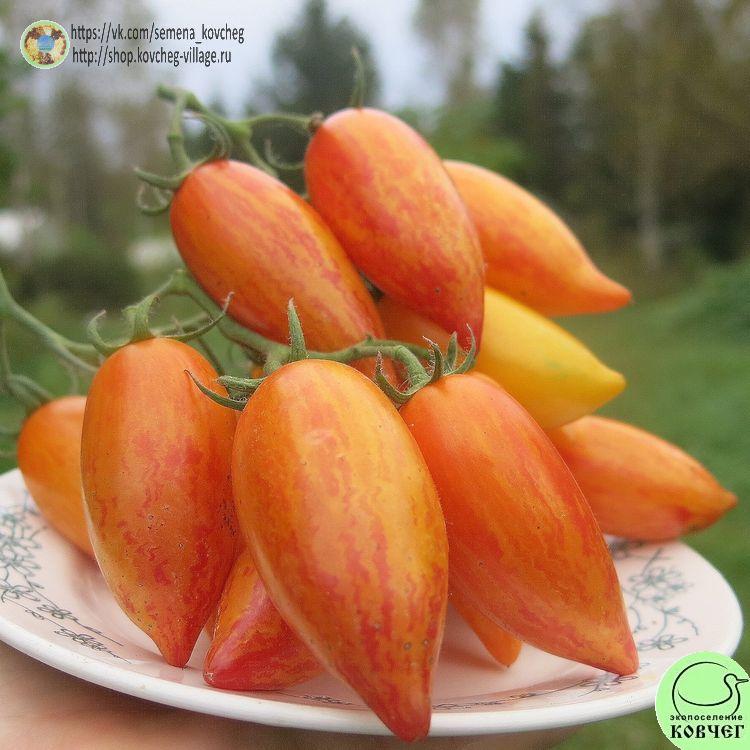 34. Сладкий крем (25)_1 2025г. Семена томата Сладкий крем