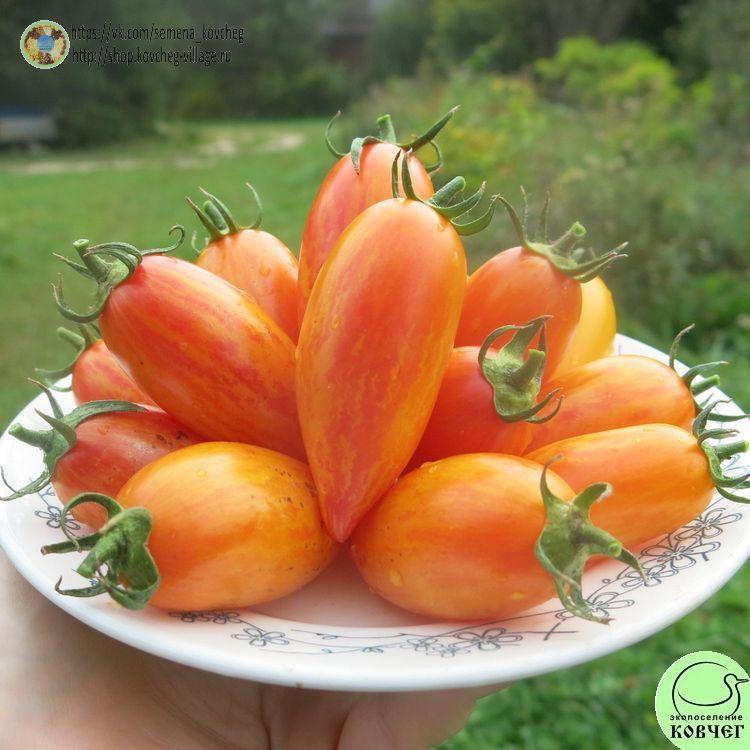 34. Сладкий крем (29)_1 2025г. Семена томата Сладкий крем