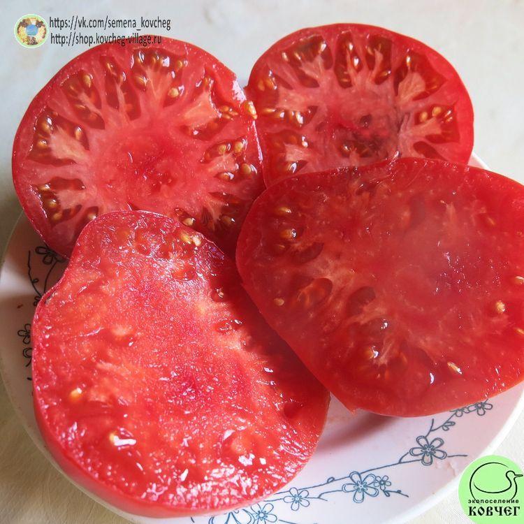 37. Хулоури из Аджарии (19)_1 2025г. Семена томата Хулоури из Аджарии