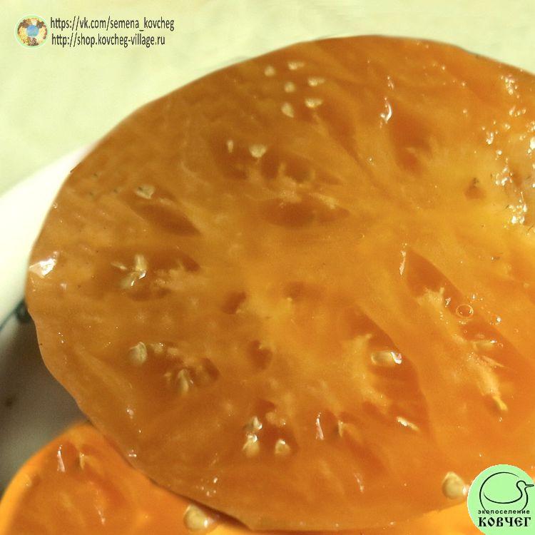 г11. Совершенная гармония (9) 2025г. Семена томата Гном Совершенная гармония