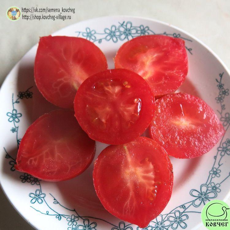 г2. ГЕНДОЛЬФ (11) 2025г. Семена томата Гном Гендольф