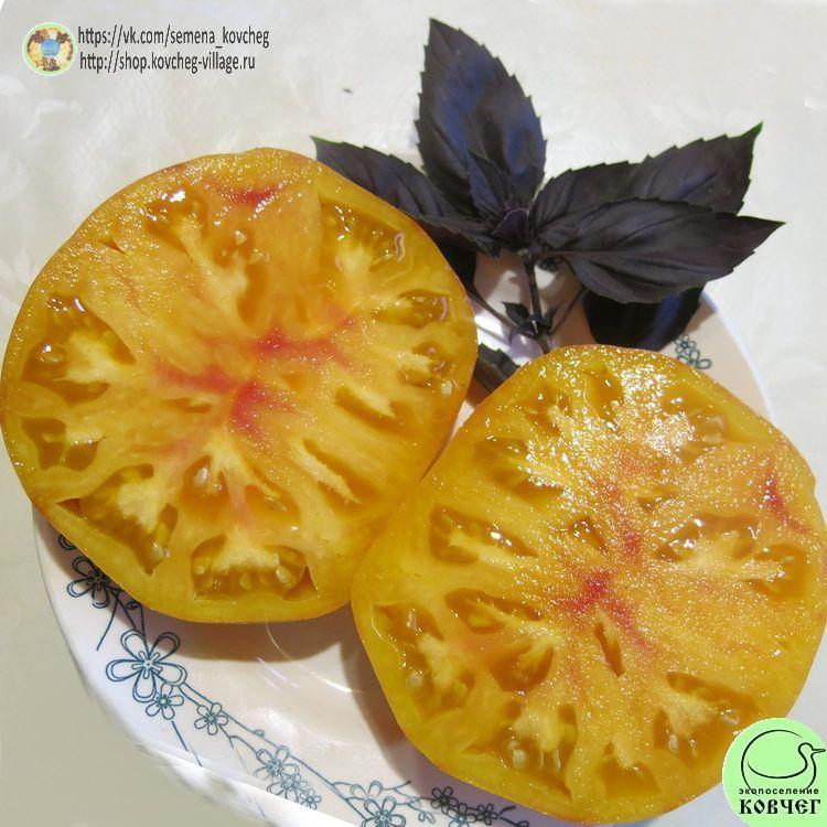 г6. КЕЙТИ (9) 2025г. Семена томата Гном Кейти