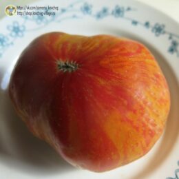 2025г. Семена томата Гном Красота Сьюзи