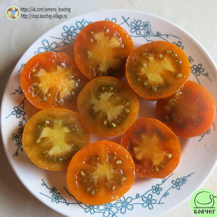 г9. ПАТЧ ДЛЯ ДУШИ (25) 2025г. Семена томата Гном Патч для души